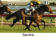 Sarrera  (14772 bytes)