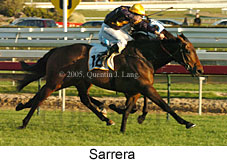 Sarrera  (14772 bytes)