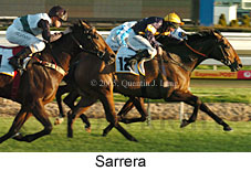 Sarrera  (14772 bytes)