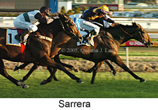 Sarrera  (14772 bytes)