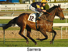 Sarrera  (14772 bytes)