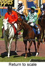 Return to scale (16103 bytes)