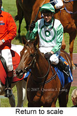 Return to scale (16103 bytes)