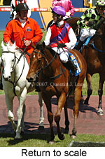 Return to scale (16103 bytes)