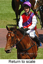 Return to scale (16103 bytes)