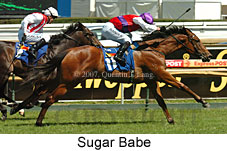 Sugar Babe (16564 bytes)