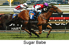 Sugar Babe (16564 bytes)