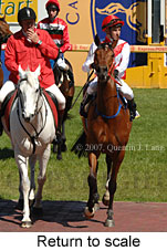 Return to scale (16103 bytes)