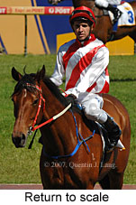 Return to scale (16103 bytes)