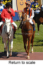 Return to scale (16103 bytes)