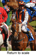 Return to scale (16103 bytes)