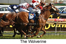 The Wolverine (16564 bytes)