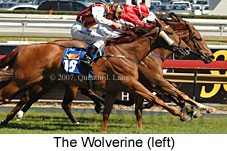 The Wolverine (16564 bytes)