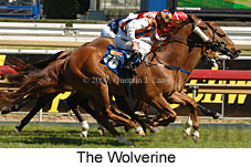 The Wolverine (16564 bytes)