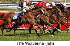 The Wolverine (16564 bytes)