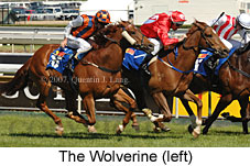 The Wolverine (16564 bytes)