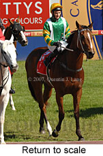 Return to scale (16103 bytes)