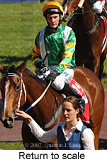 Return to scale (16103 bytes)