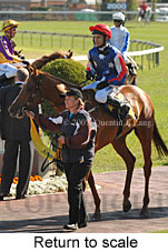 Return to scale (16103 bytes)