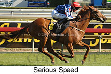 Serious Speed (15397 bytes)