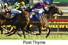 Post Thyme (16564 bytes)