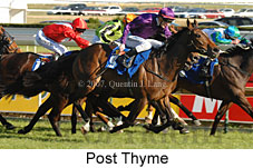 Post Thyme (16564 bytes)