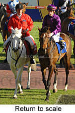 Return to scale (16103 bytes)