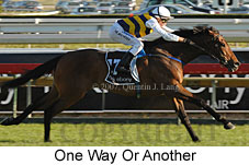 One Way Or Another (16564 bytes)