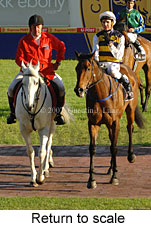 Return to scale (16103 bytes)