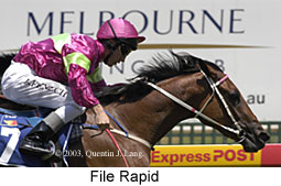 File Rapid (17301 bytes)