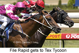 File Rapid (20716 bytes)