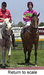 Return to scale (14391 bytes)