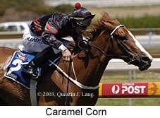 Caramel Corn (16264 bytes)