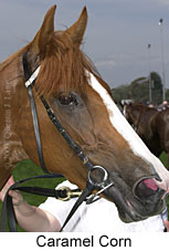 Caramel Corn (12084 bytes)