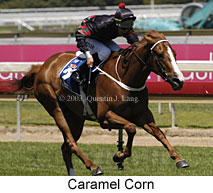 Caramel Corn (17259 bytes)