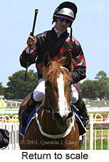 Return to scale (14859 bytes)