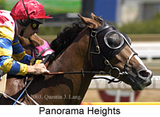 Panorama Heights (15998 bytes)