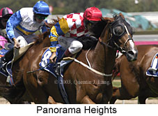 Panorama Heights (17477 bytes)