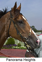 Panorama Heights (13466 bytes)