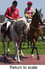 Return to scale (16402 bytes)