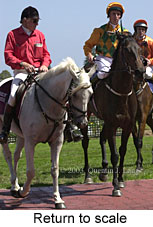 Return to scale (15340 bytes)