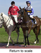 Return to scale (14945 bytes)