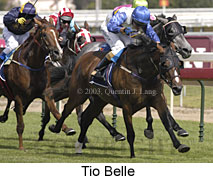 Tiobelle (17624 bytes)