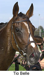 Tiobelle (12585 bytes)