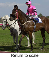 Return to scale (13328 bytes)