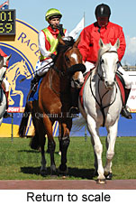 Return to scale (14008 bytes)