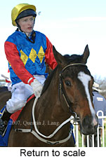 Return to scale (14008 bytes)