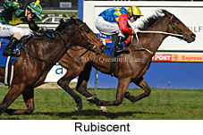 Rubiscent (14772 bytes)