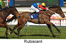 Rubiscent (14772 bytes)