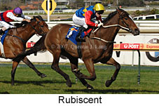 Rubiscent (14772 bytes)